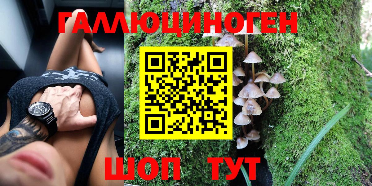 купить наркотик  Вход с VPN  Кулебаки  Галлюциногенные грибы MAGIC MUSHROOMS 